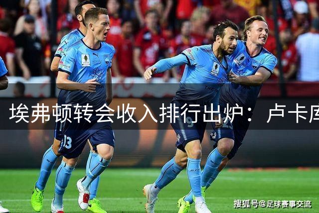 埃弗顿转会收入排行出炉：卢卡库领衔，恩迪亚耶身居次席