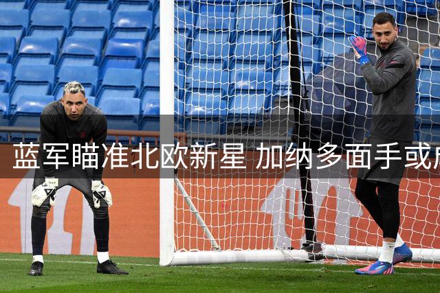 蓝军瞄准北欧新星 加纳多面手或成切尔西中场补强关键